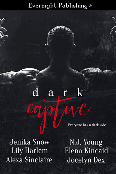 Dark Captive Anthology